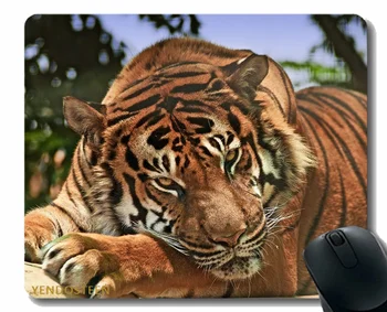 Игровой коврик для мыши на заказ, агрессия морды тигра-хищника Big Cat 102611 Удобный коврик для мыши для игр и офиса